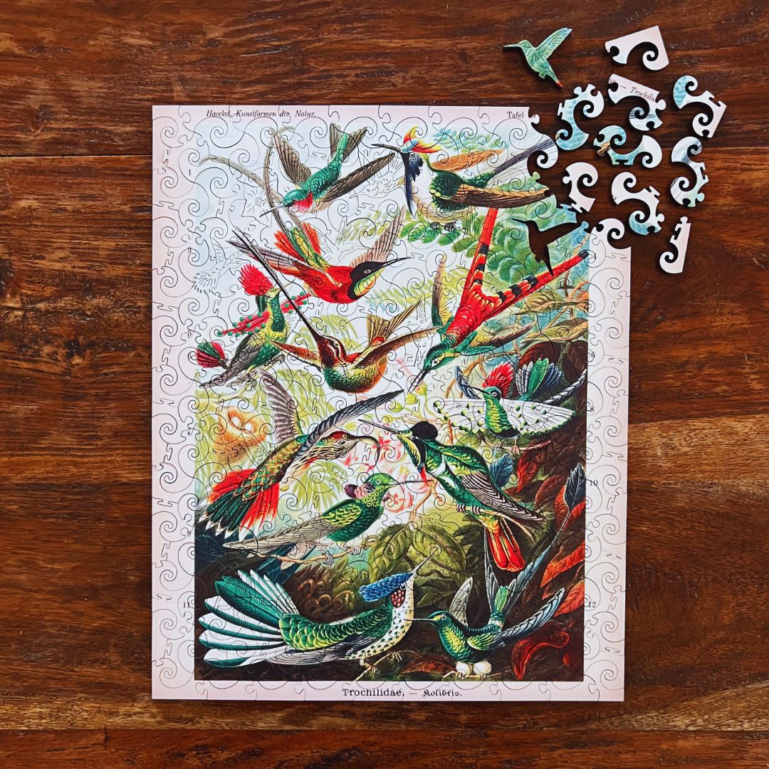 Hummingbirds (Trochilidae) - Image 4